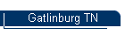 Gatlinburg TN